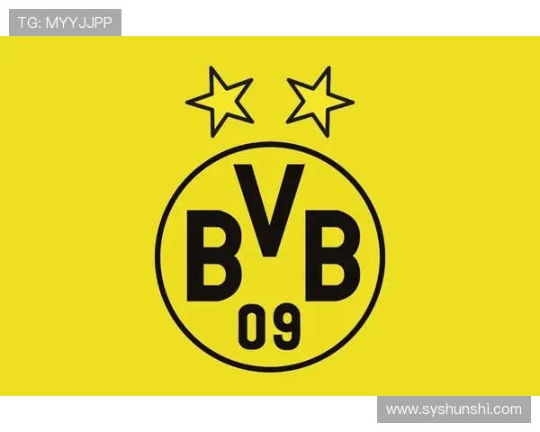 普鲁士多特蒙德足球俱乐部的辉煌历史与未来发展展望