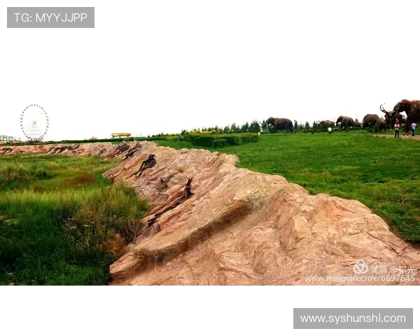 围绕富勒姆俱乐部全面探析其百年历史脉络与城市文化传承价值